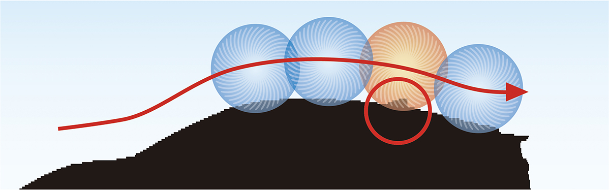 Medium-sized antenna is washed softly.